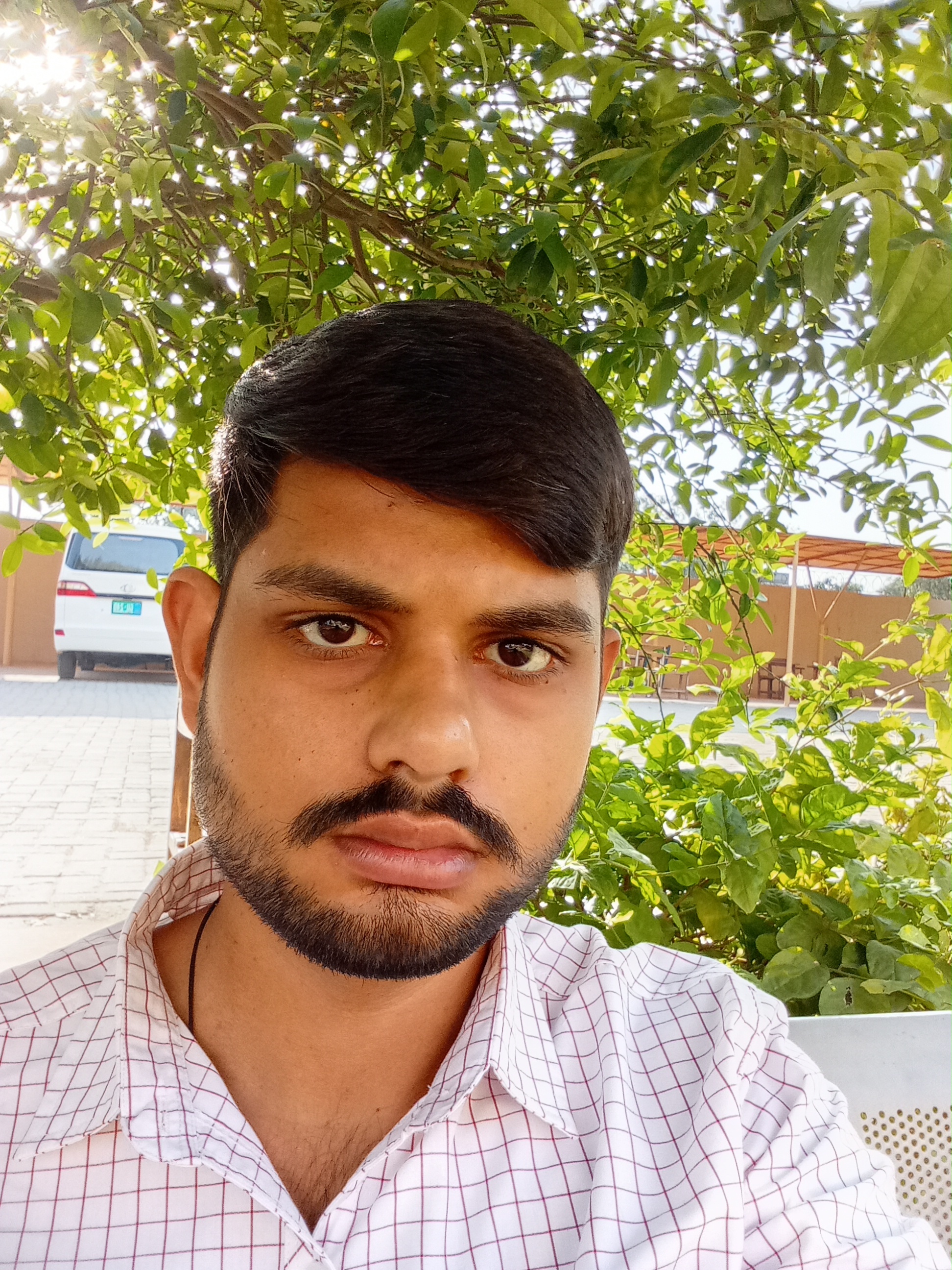 Ali Ahsan