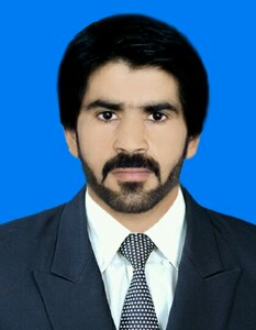 Zulfiqar Ali