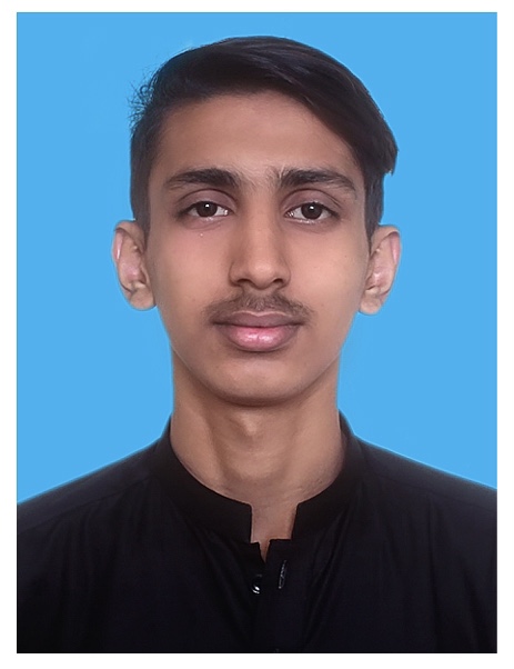 Syed Jawwad Ali