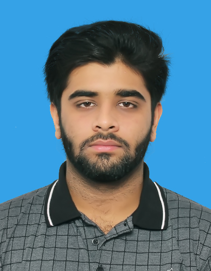 Ahmed Waleed Bajwa