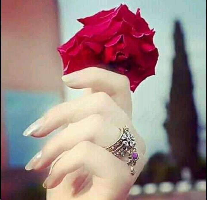 Kaneez Fatima