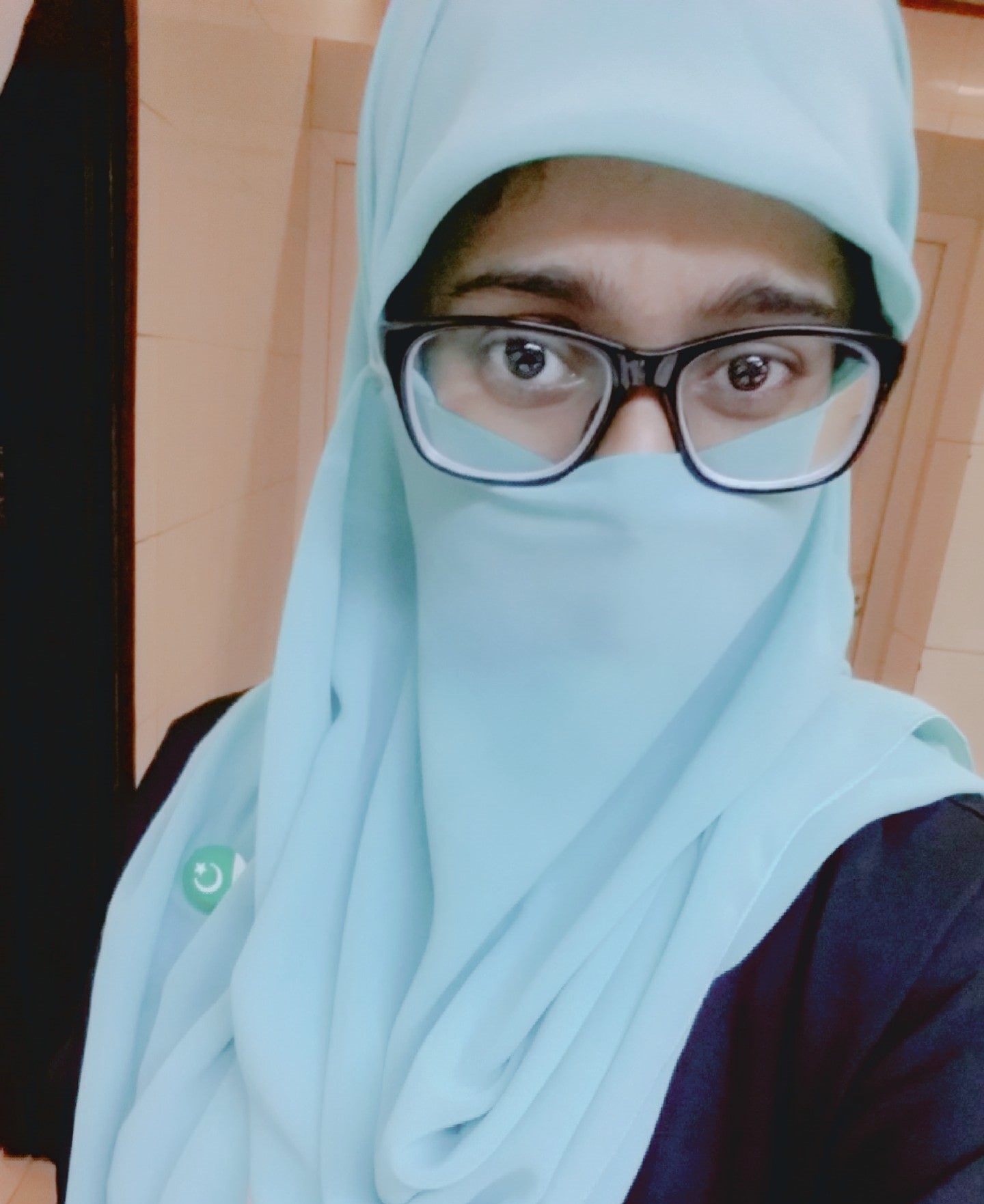 Syeda Hafsa Masood