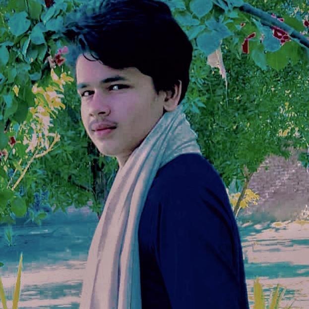 Muhammad Mursaleen