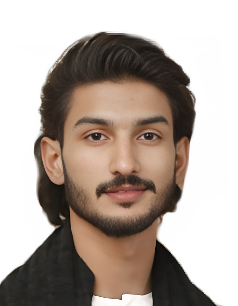 Syed Ali Zain Zaidi