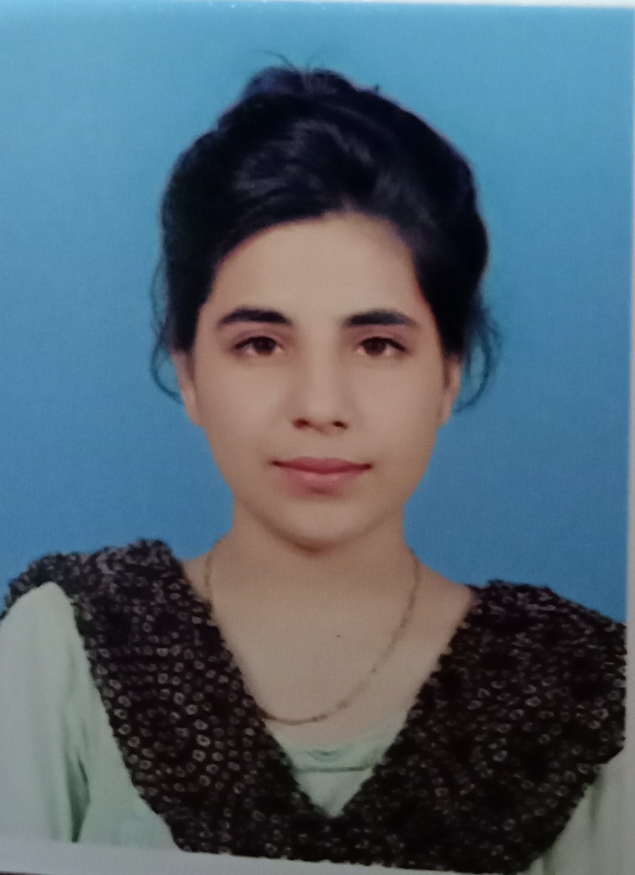 Hafsa Shakeel