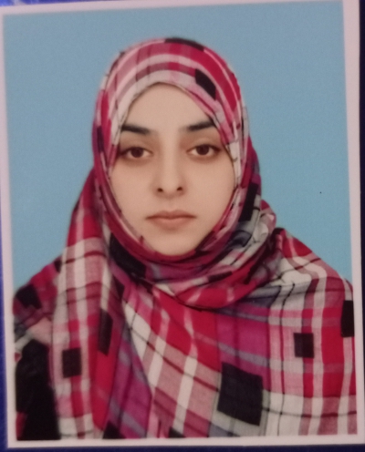 Tuba jamil