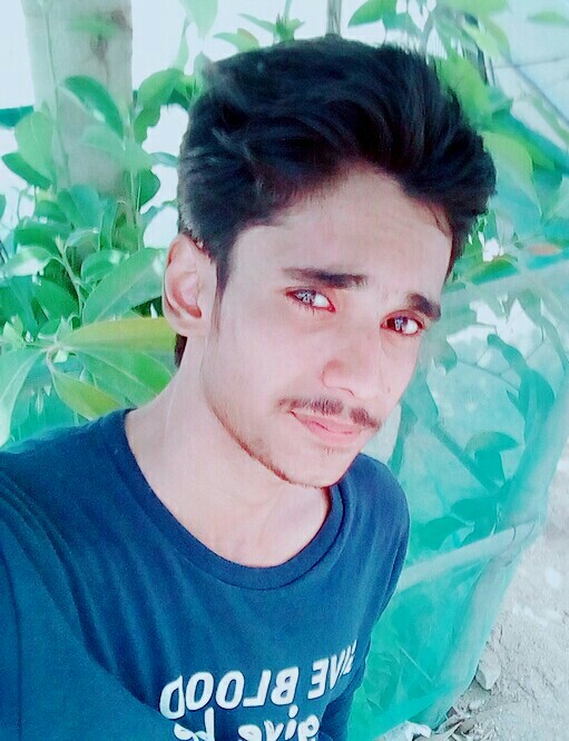 Syed Hasnain Ali