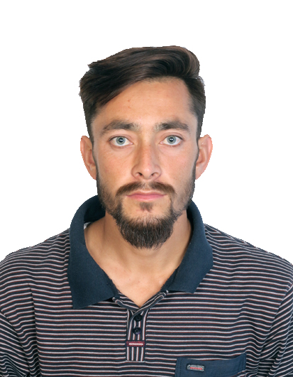 Ali naqi
