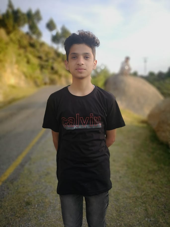 Malik shujat