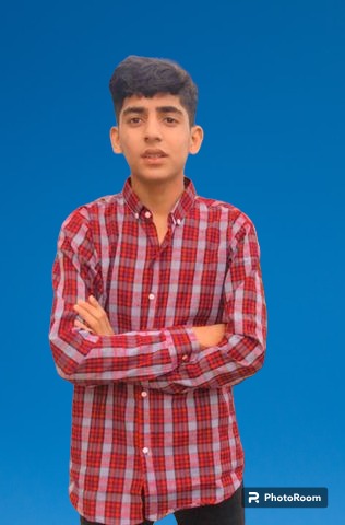 Hasnain Wakeel